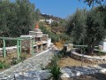 Sifnos - Apollonia - Rose Home