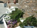 Sifnos - Apollonia - Petali Hotel
