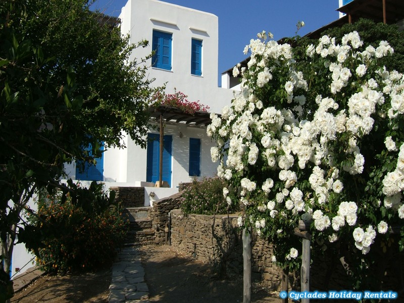 Sifnos - Platy Gialos - Alexandros Hotel - Locations Iles Cyclades - Grèce