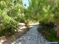 Amorgos - Aegiali - Gryspo's Hotel