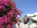 Antiparos - Antiparos Port