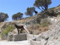 Folegandros - Ano Meria