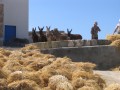 Folegandros - Ano Meria