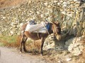 Folegandros - Ano Meria