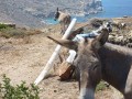 Folegandros - Ano Meria