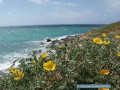 Naxos - Agios Prokopios