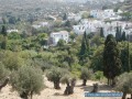 Naxos - Vallée de Potamia