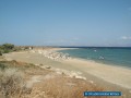 Paros - Golden Beach - Tserdakia