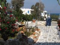 Paros - Logaras - Stavros Studios