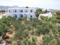 Paros - Logaras - Stavros Studios