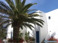 Paros - Logaras - Nicos Apartments