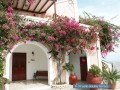 Santorin - Oia - Pension Flower