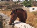 Sifnos - Apollonia - Rose Home