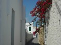 Sifnos - Artemonas