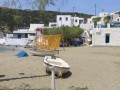 Sifnos - Faros - Chryssopigi