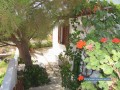 Sifnos - Faros - Chryssopigi - Markela Appartements