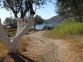 Sifnos - Kamares - Hotel Boulis