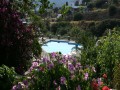 Sifnos - Platy Gialos - Alexandros Hotel