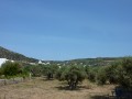 Edem Apts - Platy Gialos - Sifnos