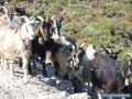 Amorgos en un clin d'oeil