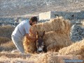 Amorgos en un clin d'oeil