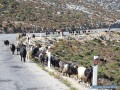 Amorgos en un clin d'oeil