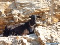 Amorgos en un clin d'oeil