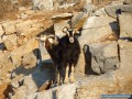 Amorgos en un clin d'oeil