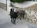 Amorgos en un clin d'oeil