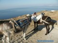 Folegandros en un clin d'oeil