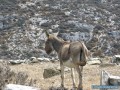 Folegandros en un clin d'oeil