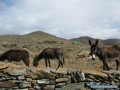 Folegandros en un clin d'oeil