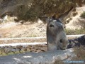 Koufonissia en un clin d'oeil