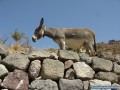 Milos en un clin d'oeil