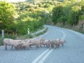 Naxos en un clin d'oeil 