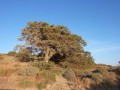 Naxos en un clin d'oeil 